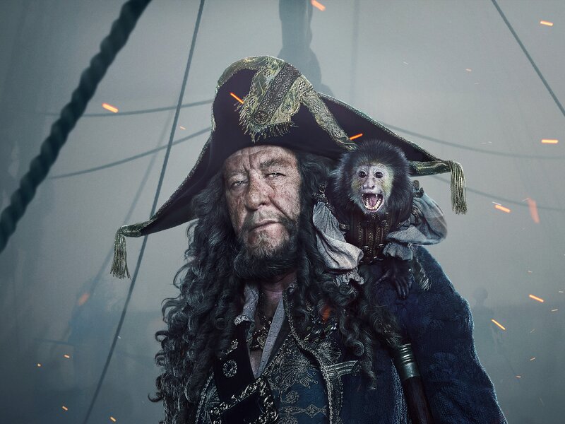 Pirate with Monkey