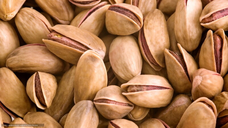 Pistachio Nuts in Shells — Brown