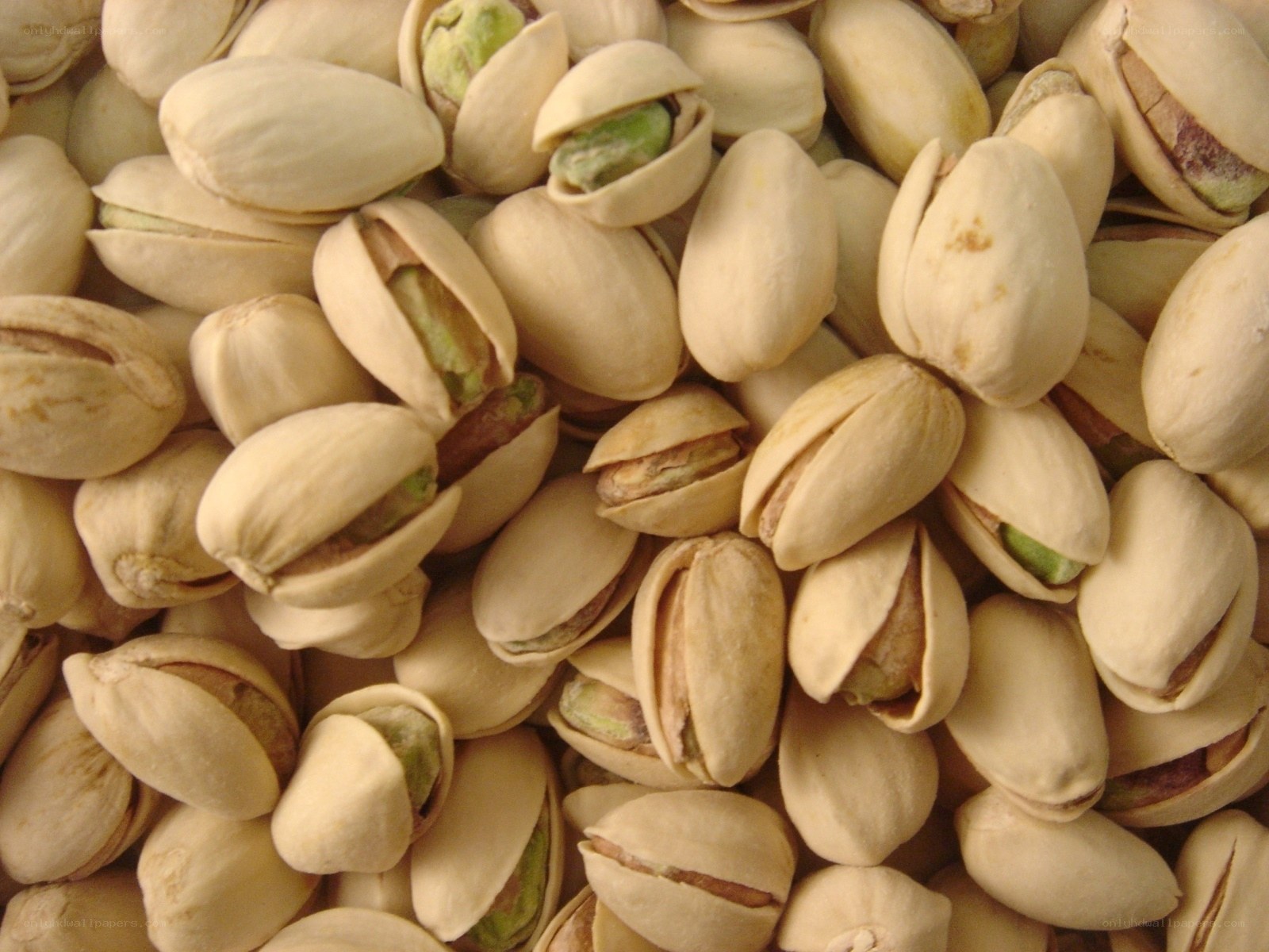 pistachio nuts in shells
