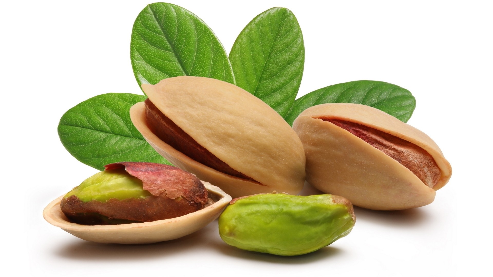 Pistachios with green leaves