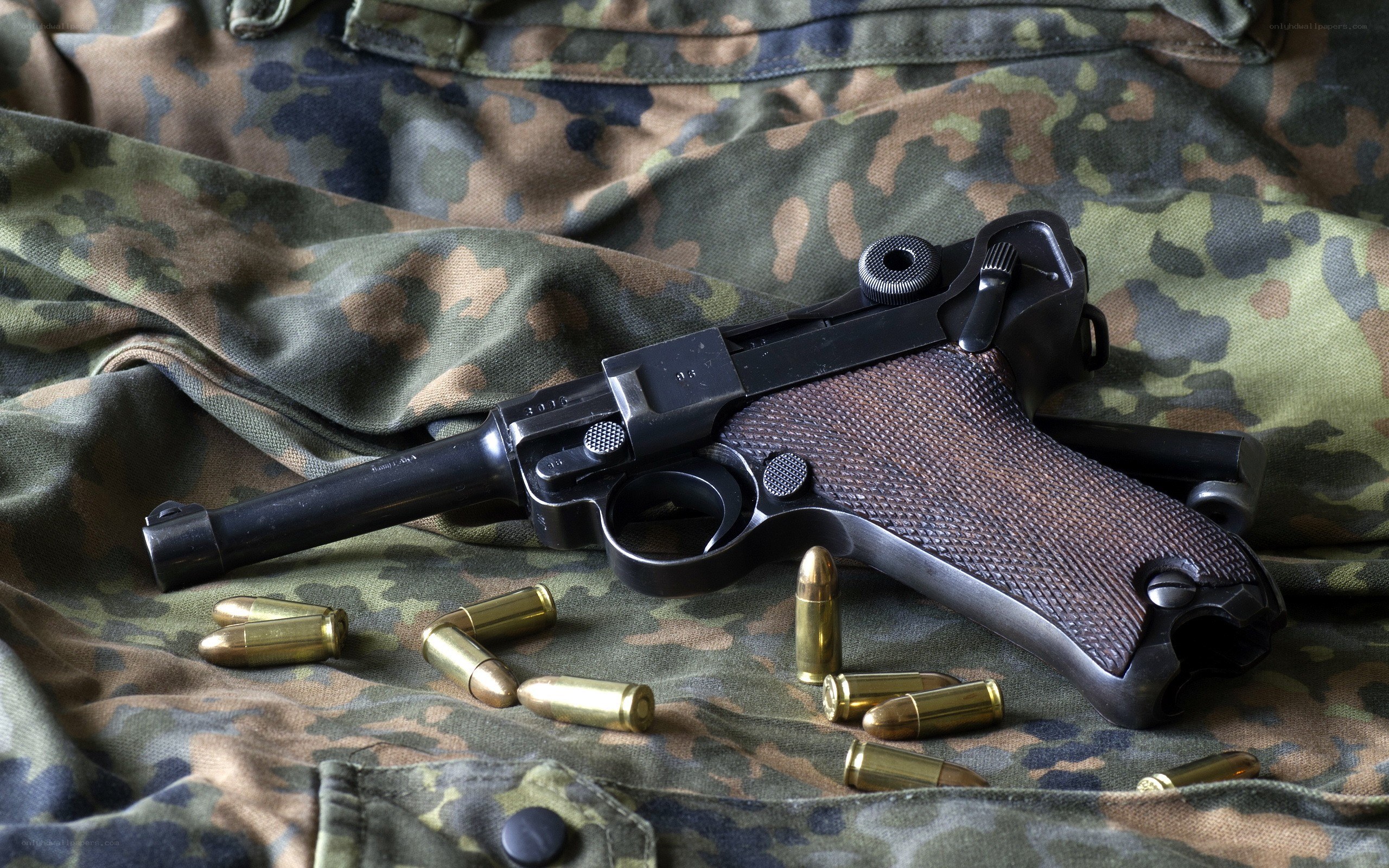 Pistol with ammunition on camouflage