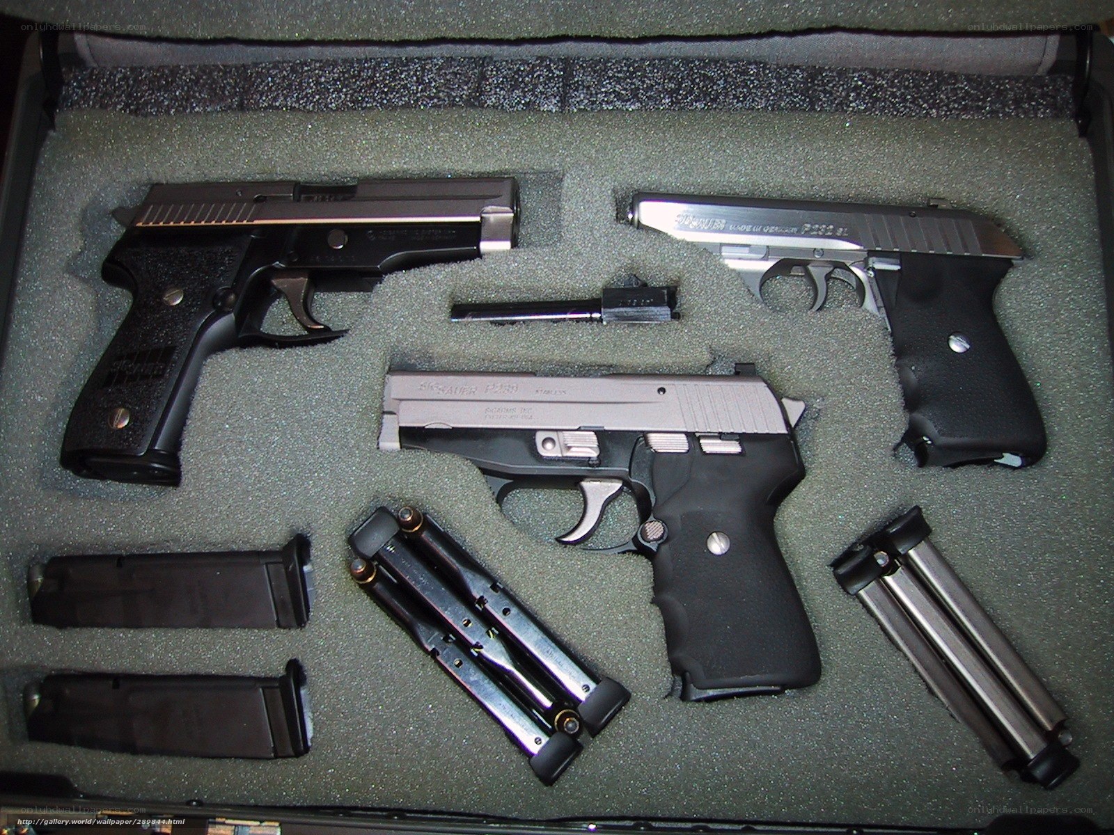 pistols in a case