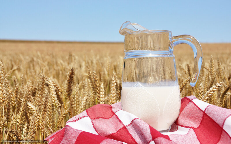 Pitcher of Milk in Field