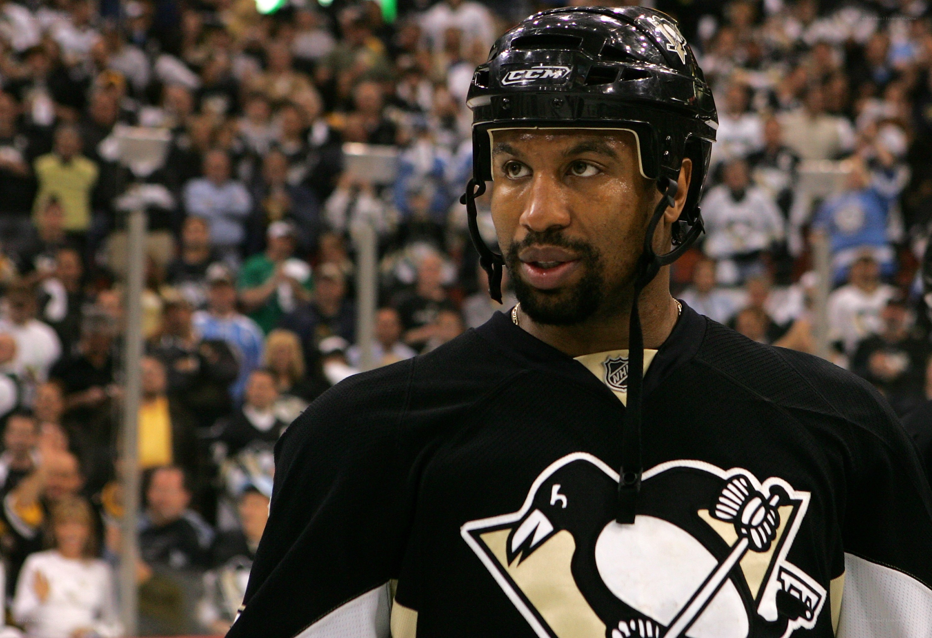 Pittsburgh Penguins hockey player
