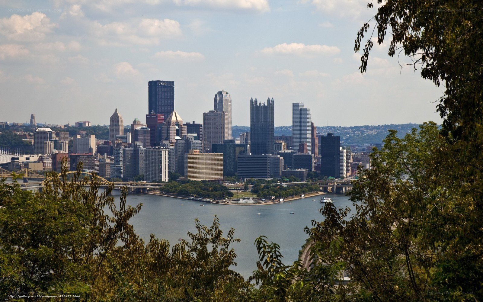 Pittsburgh skyline view