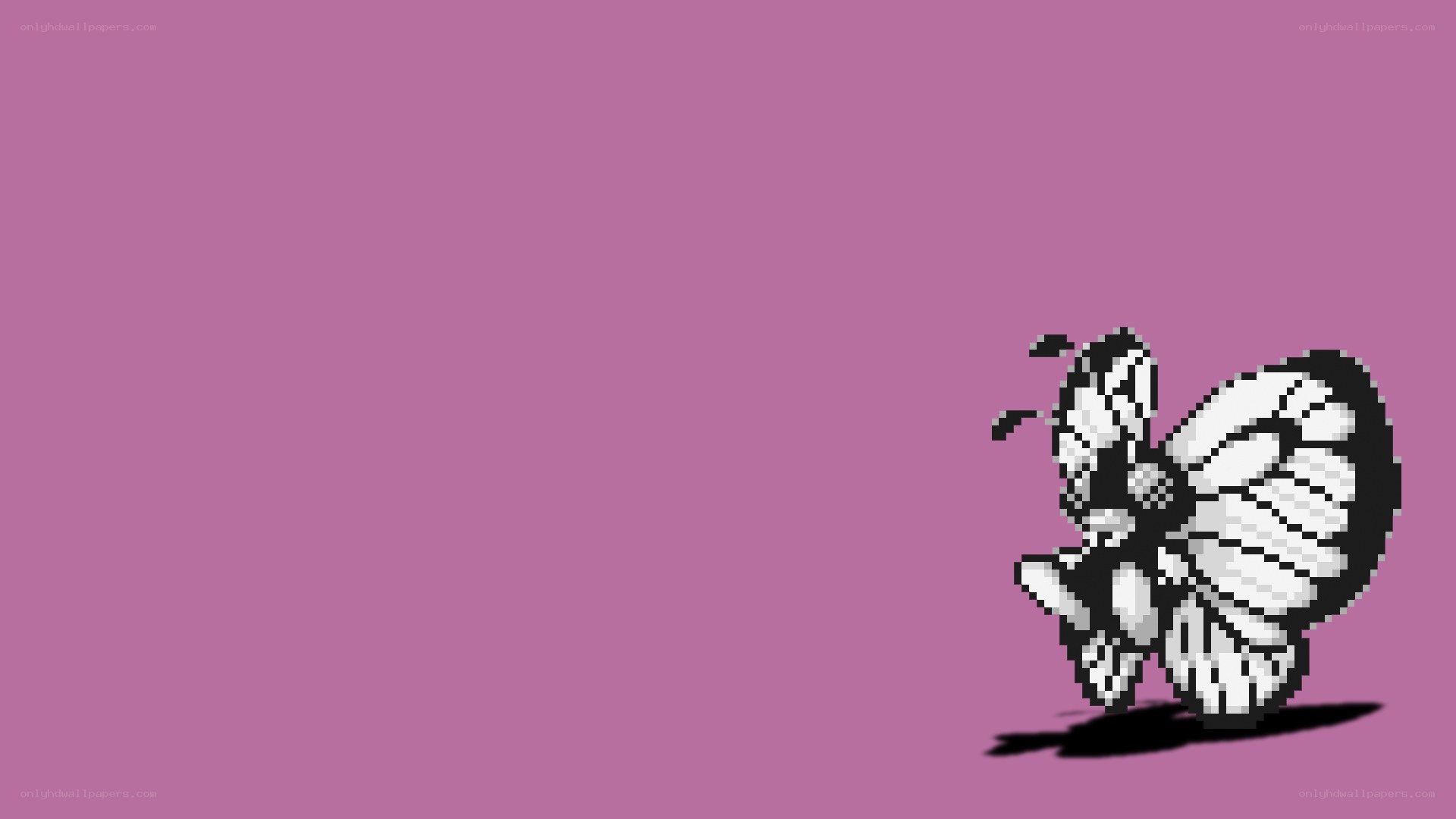 pixel art butterfly on purple