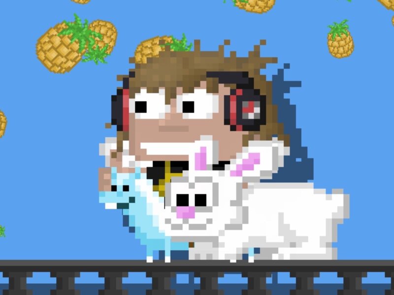 Pixel Art Character with Animals
