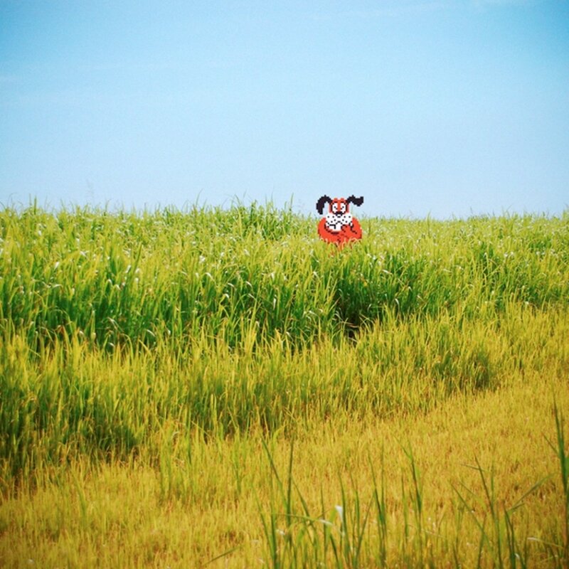 Pixel dog in a field
