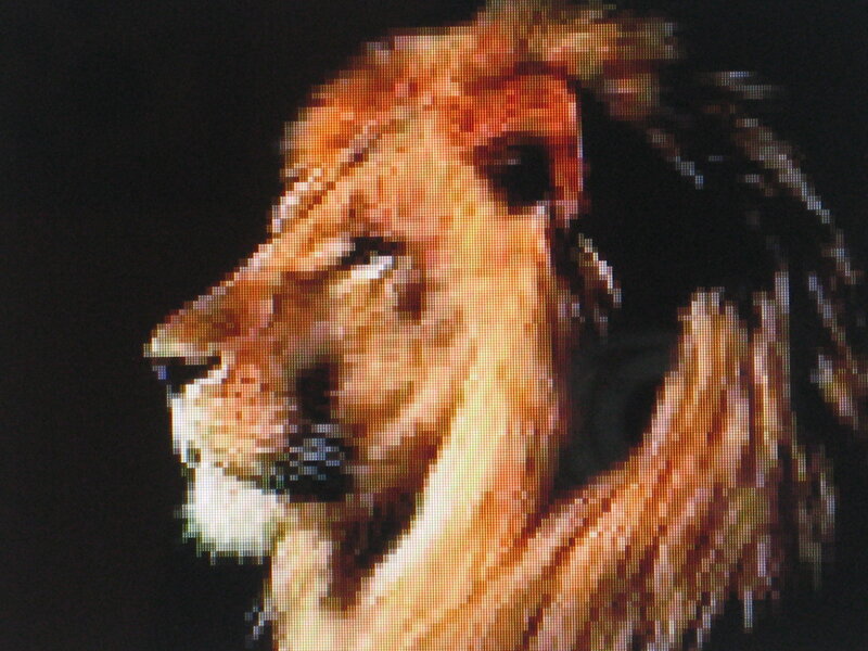 pixelated lion head