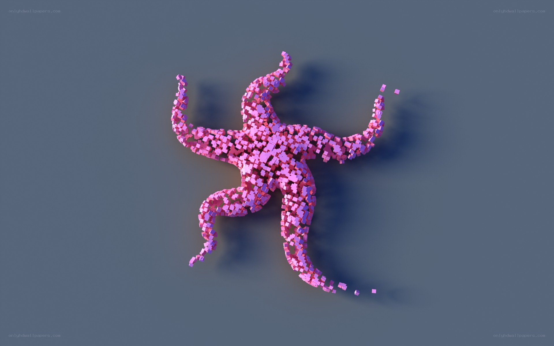 pixelated starfish sculpture