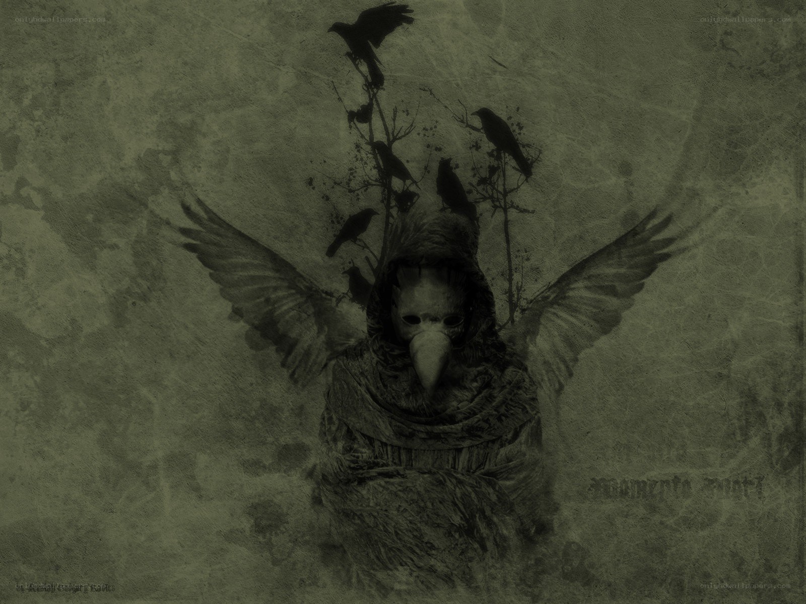 plague doctor with crows
