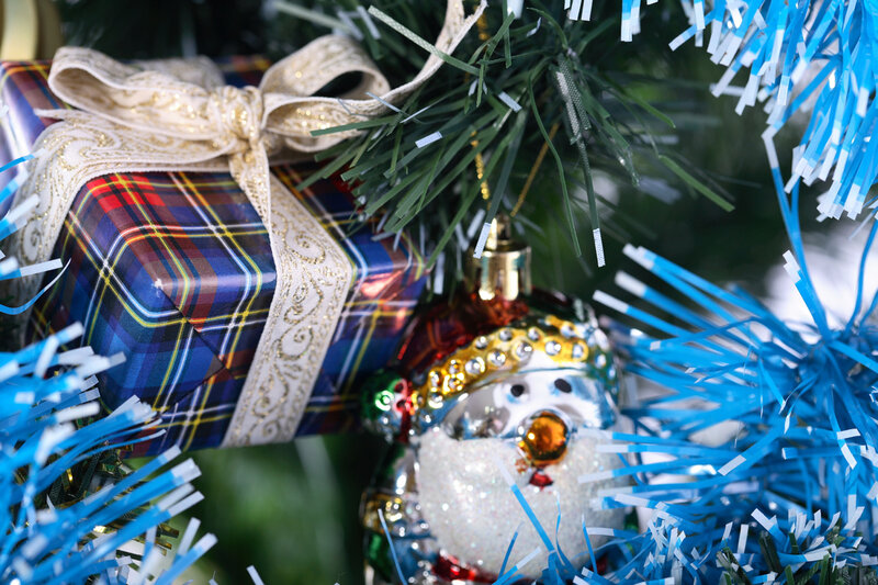 Plaid Gift under Tree