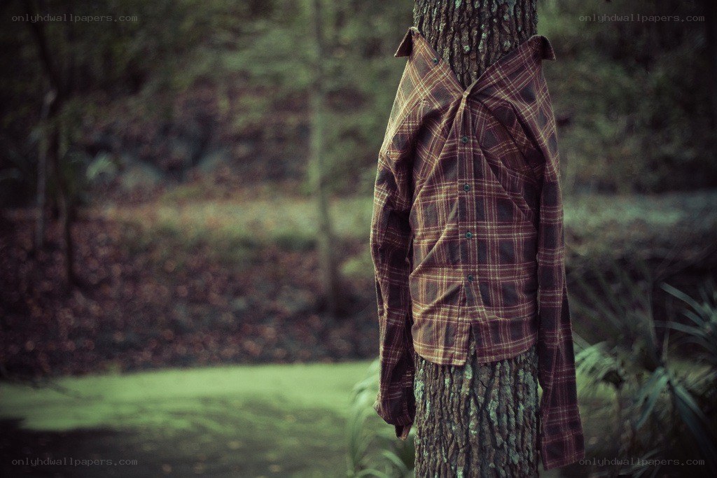 plaid shirt on tree