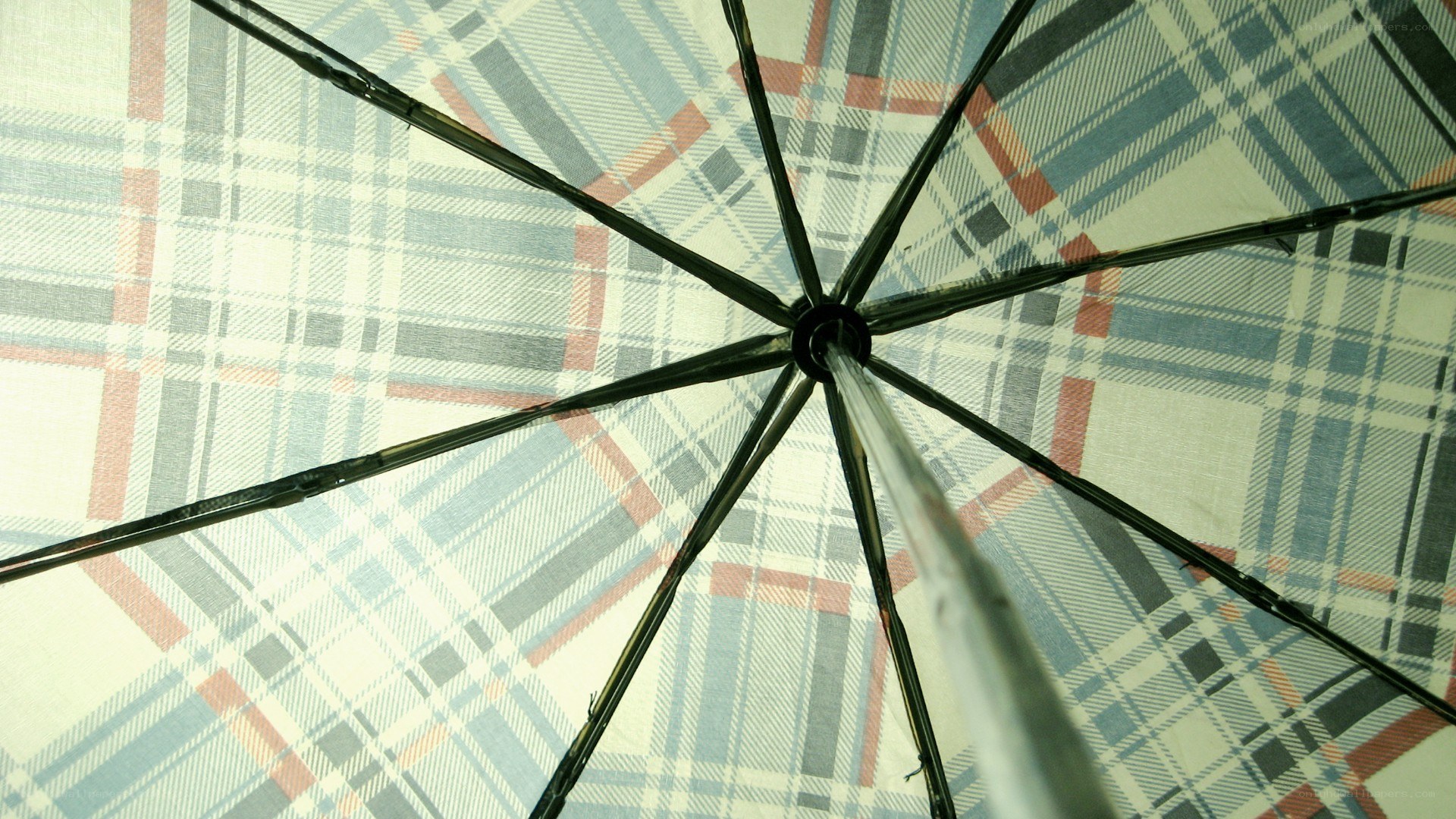 plaid umbrella interior