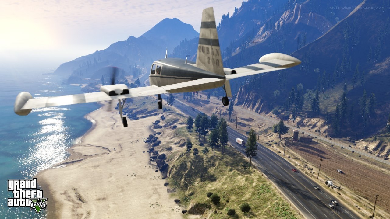 plane flying over coastal road