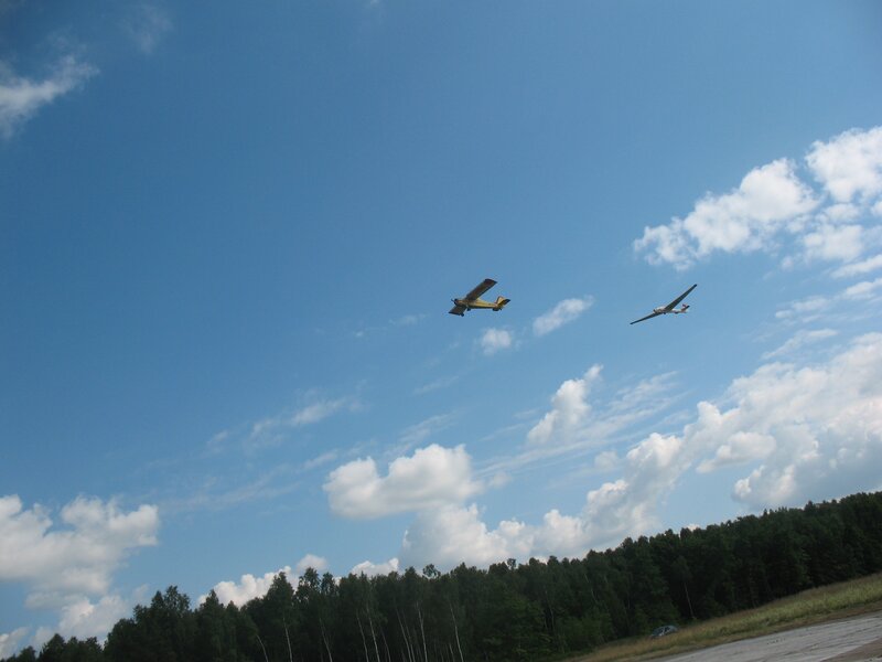 Planes flying over a forest