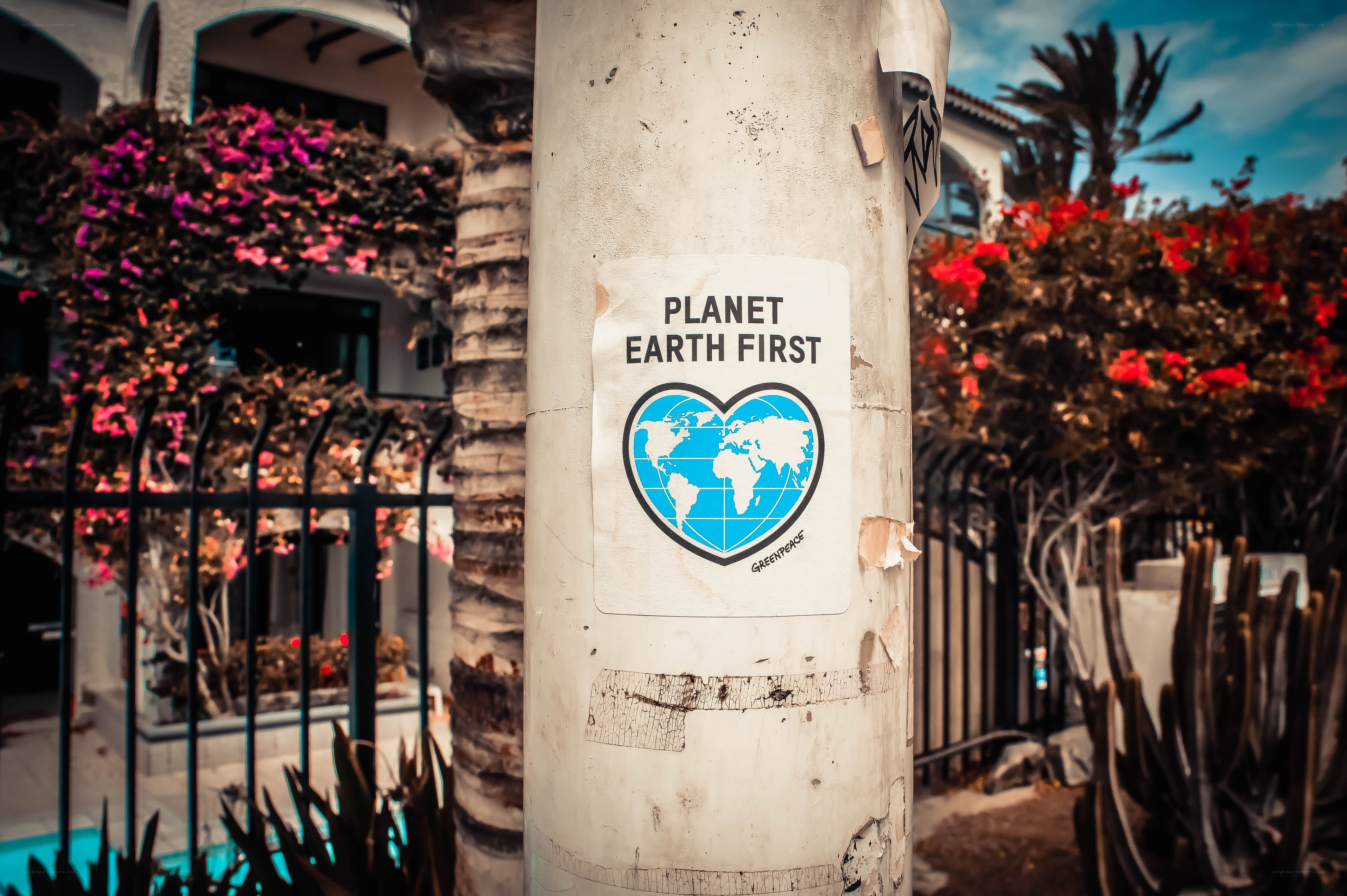 Planet Earth First sticker