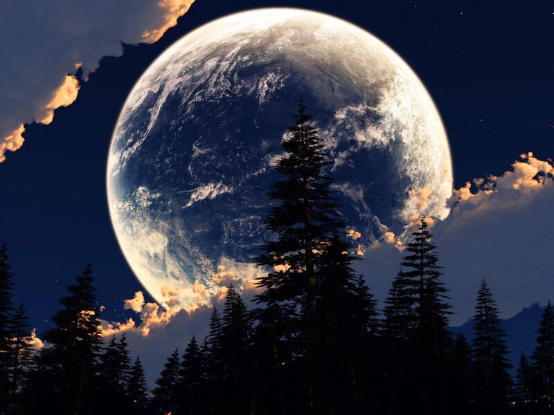 Planet Earth from Space — Blue, Dramatic, Night, Digital Art, Trees
