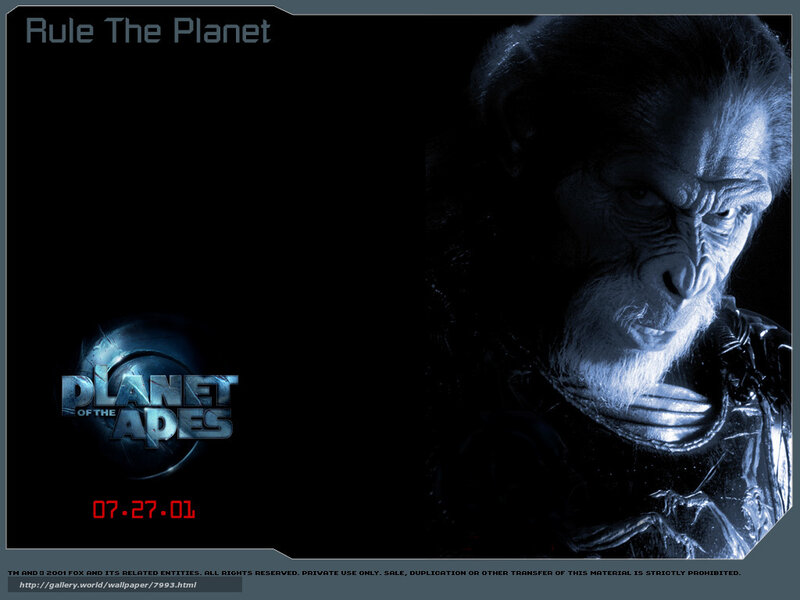 Planet of the Apes movie poster