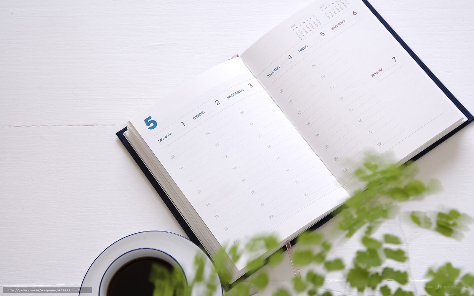 planner with coffee and plant