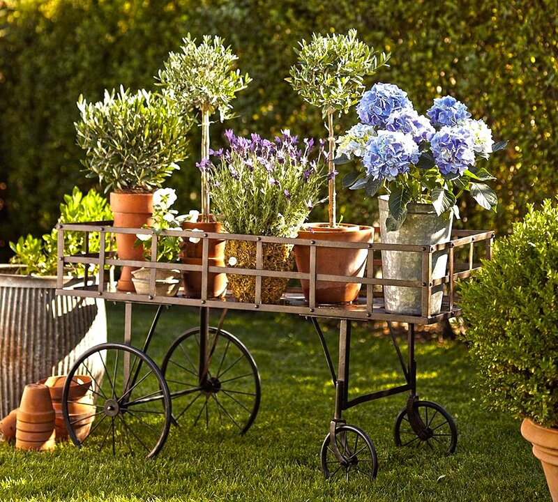 Plant Cart on Lawn