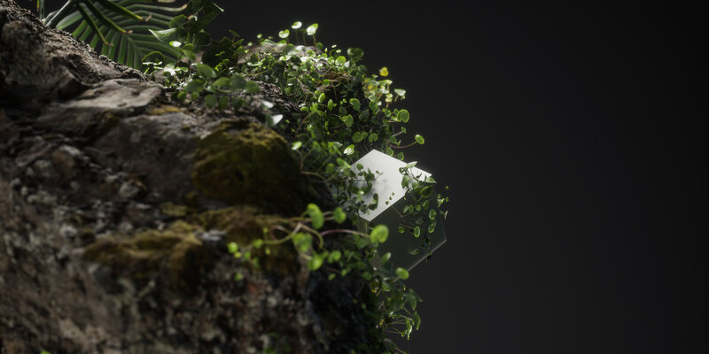 Plant-covered Rock with Cube
