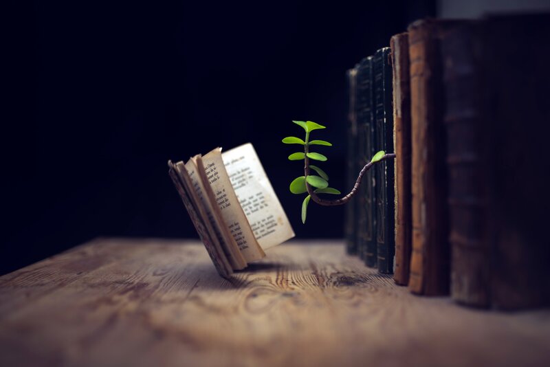 Plant Growing from Book
