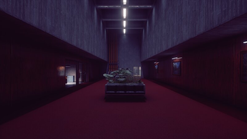Plant in a Hallway