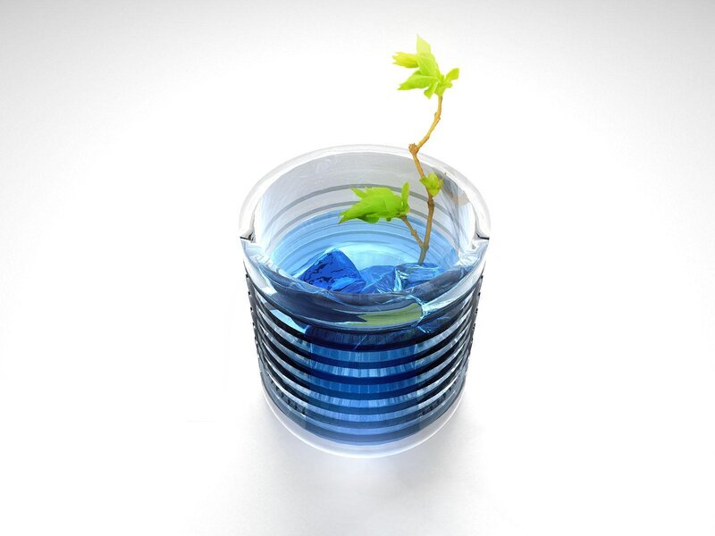 plant in blue glass container