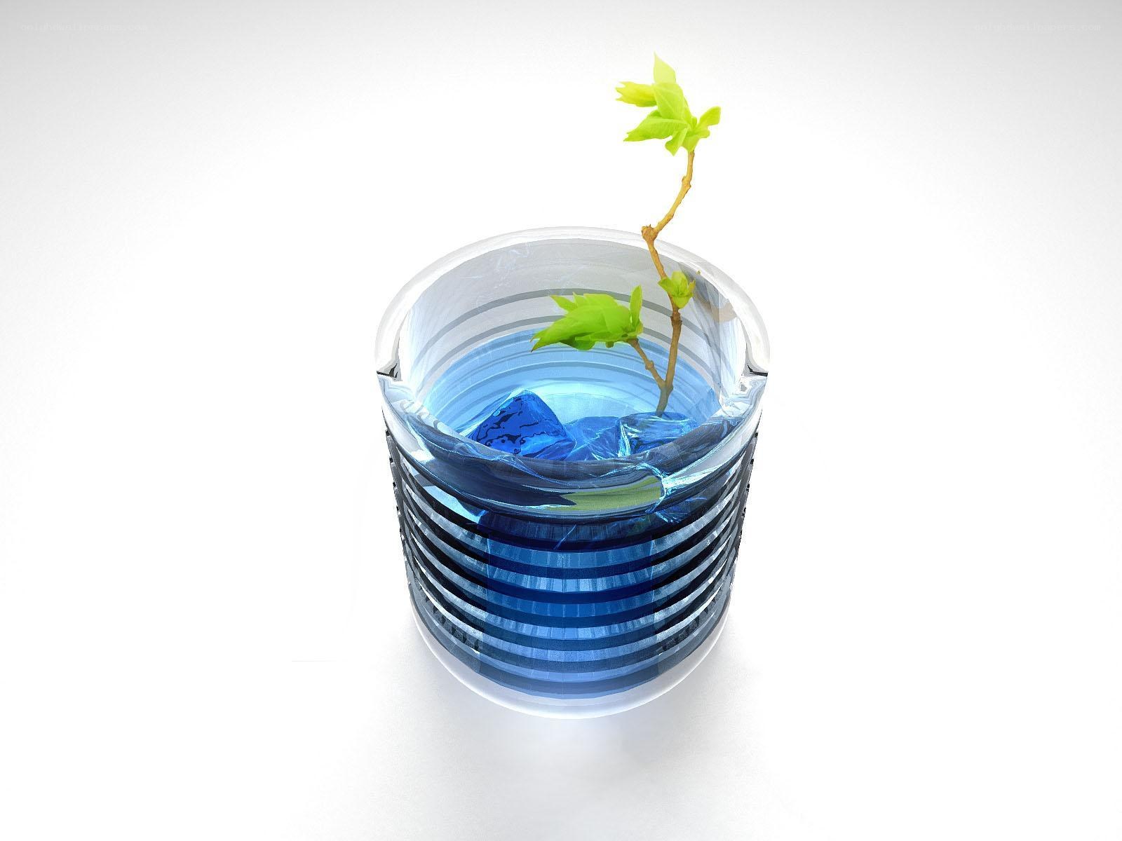 plant in blue glass container