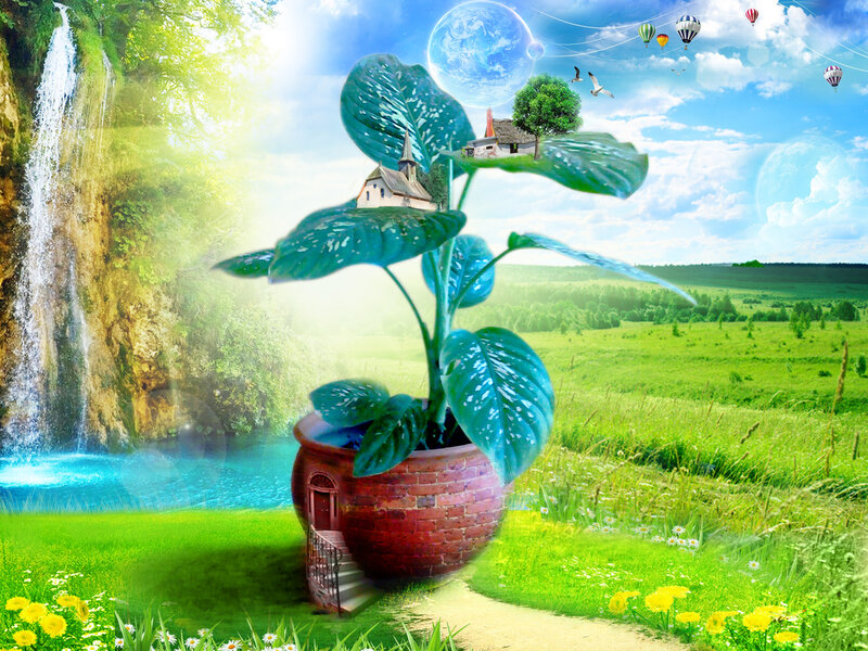Plant in Brick Pot