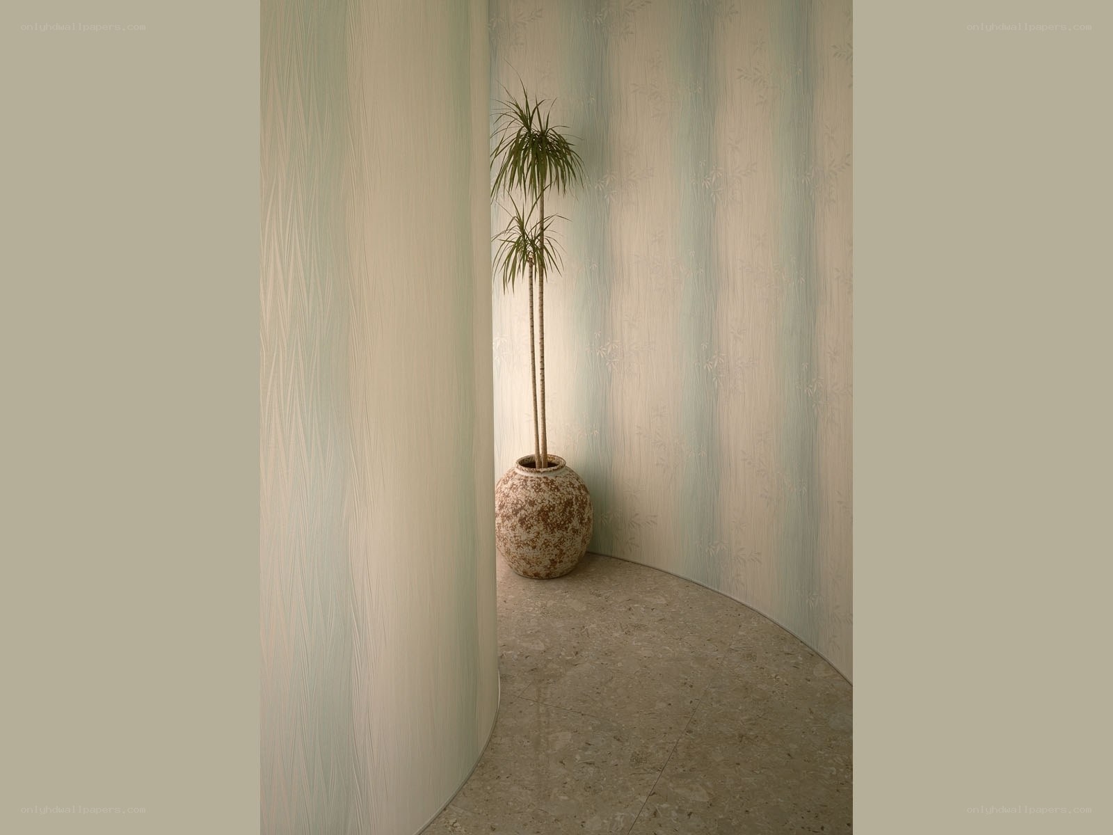plant in curved hallway