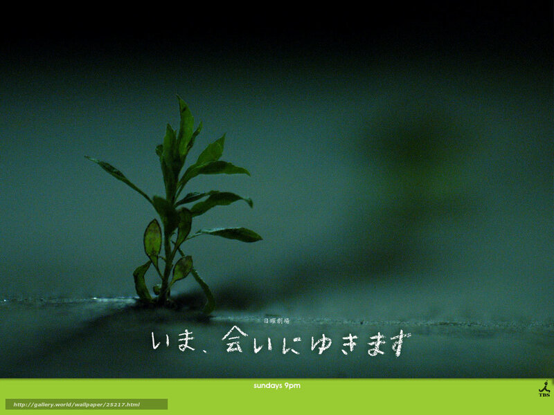plant in dark water