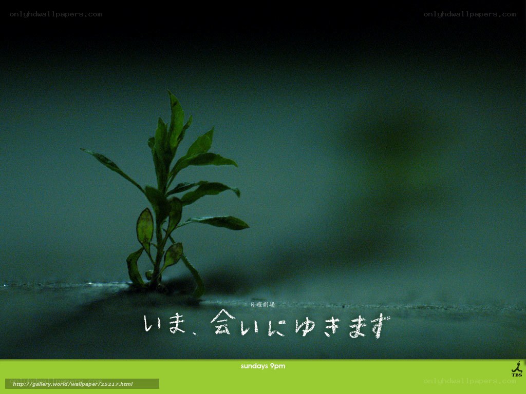 plant in dark water