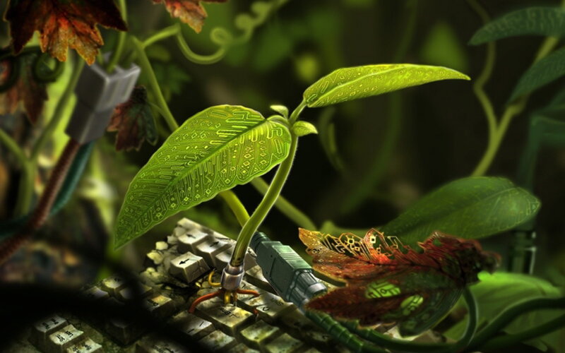 Plant with Circuit Board Leaf