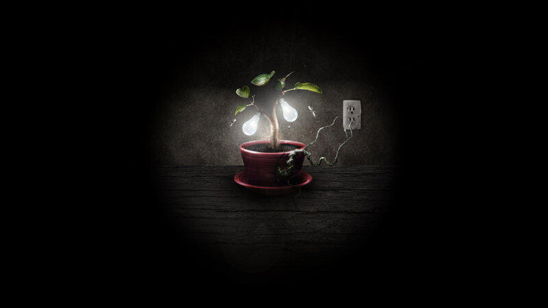 Plant with light bulbs
