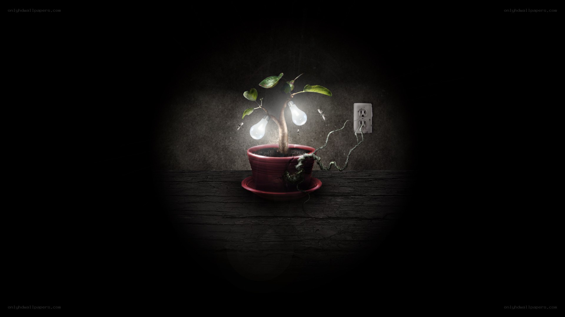 Plant with light bulbs