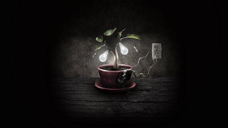 plant with light bulbs