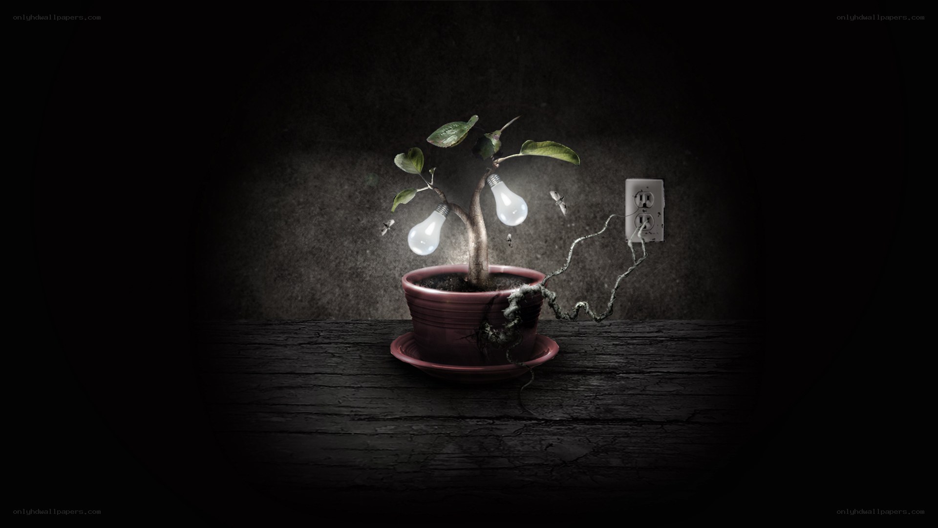 plant with light bulbs