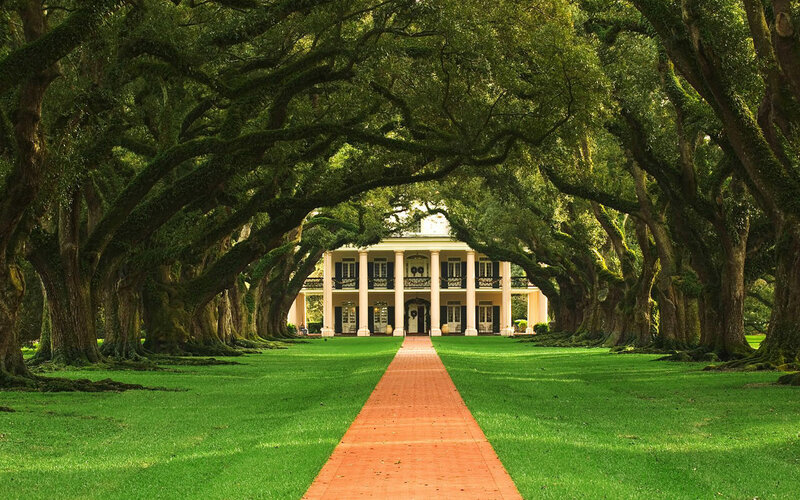 Plantation house with oak avenue