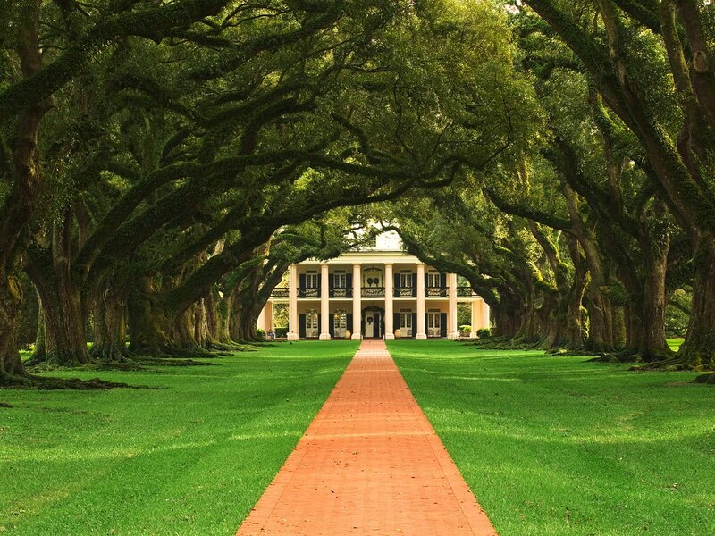 Plantation House with Oak Trees