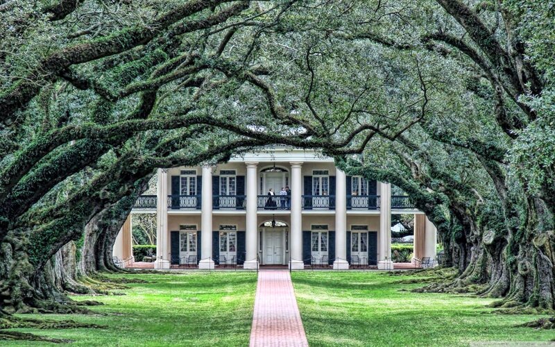 Plantation House with Oaks