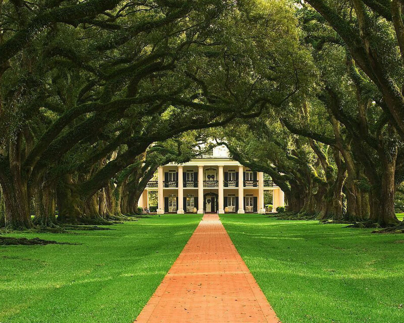 Plantation House with Trees — Green, Serene
