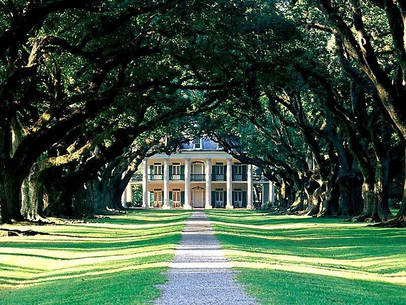 Plantation House with Trees