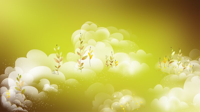 Plants in Clouds