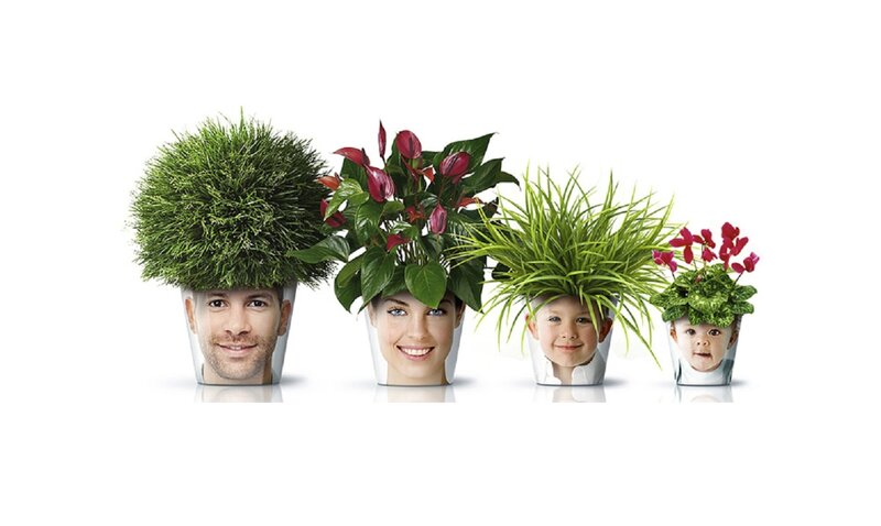 Plants in Pots with Faces