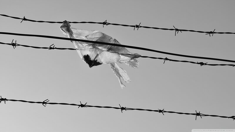 Plastic Bag on Barbed Wire