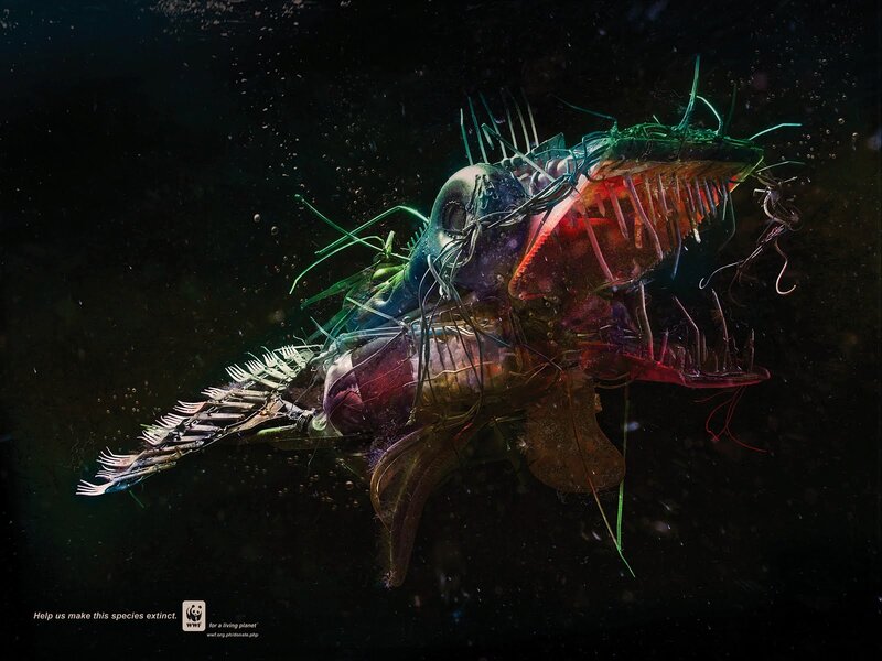 Plastic-filled Fish