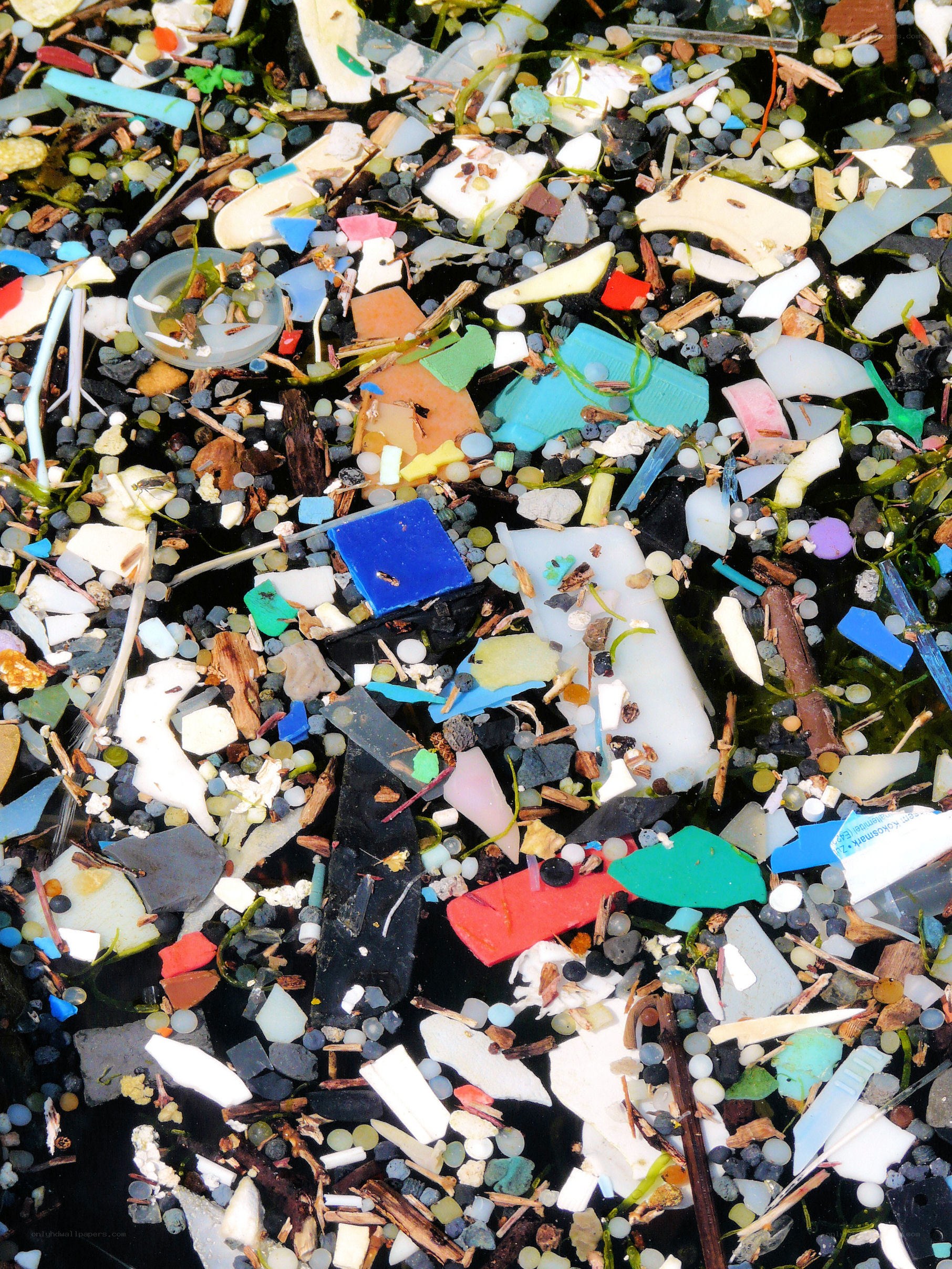 plastic pollution in ocean water