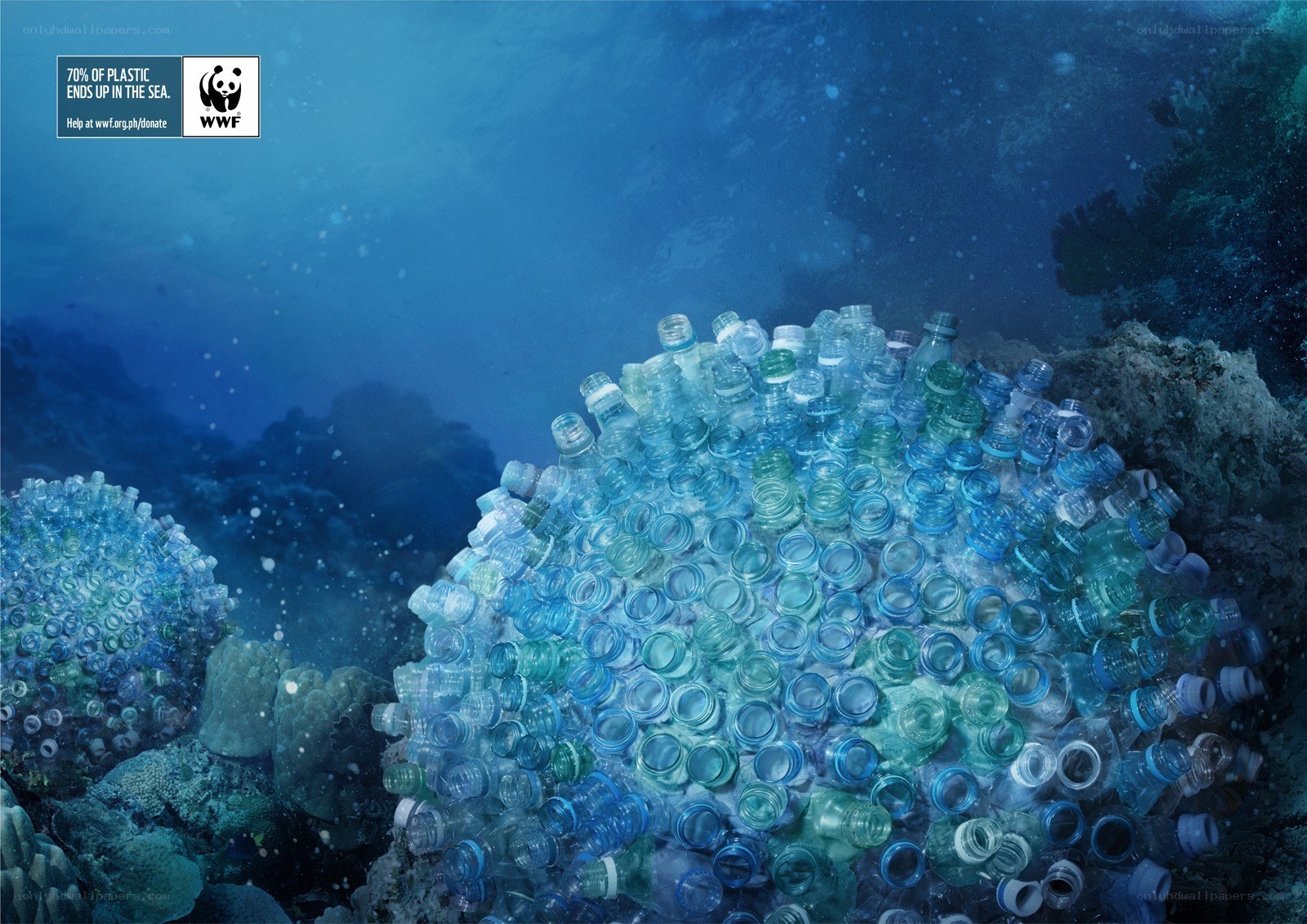 Plastic pollution in the ocean